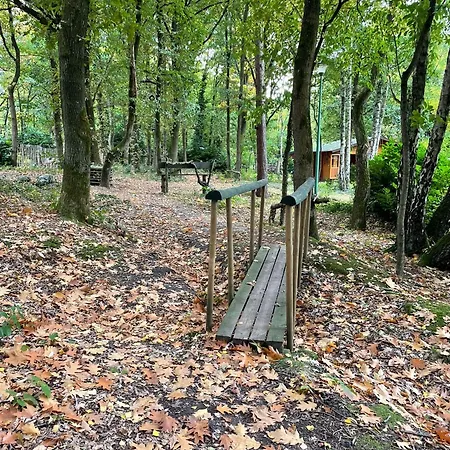 Pipowagen De Zwaan In Hoge Kempen Nabij Maastricht Holiday home