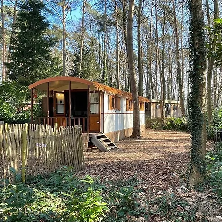 Holiday home Pipowagen De Zwaan In Hoge Kempen Nabij Maastricht Lanaken