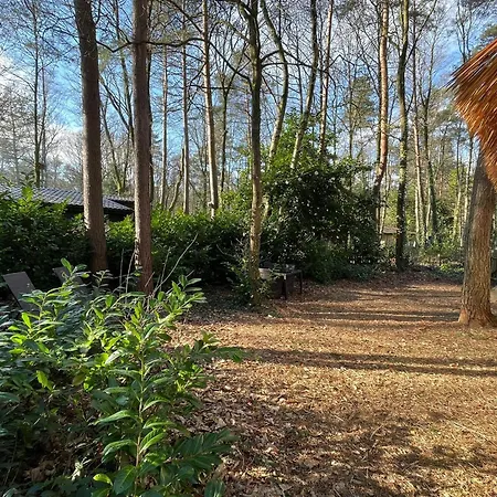 Pipowagen De Zwaan In Hoge Kempen Nabij Maastricht Holiday home *