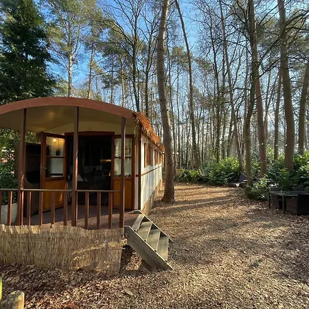 Pipowagen De Zwaan In Hoge Kempen Nabij Maastricht Holiday home *